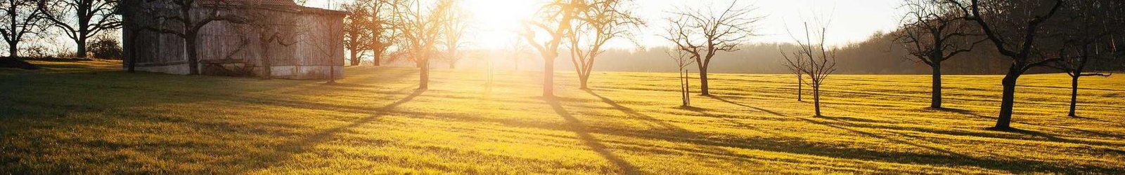 Jak uczyć się angielskiego, nawet gdy masz lenia?