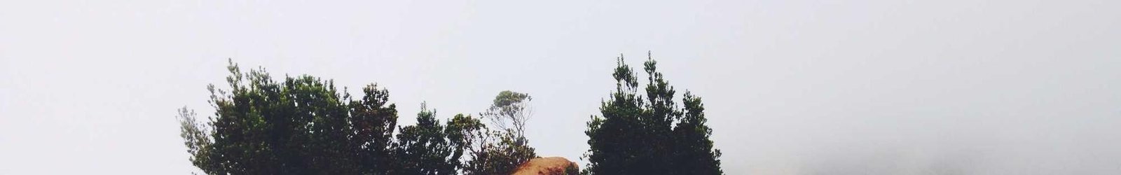 Beginner-Friendly Tips to Build Confidence in English