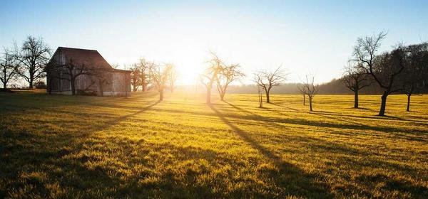 Jak uczyć się angielskiego, nawet gdy masz lenia?