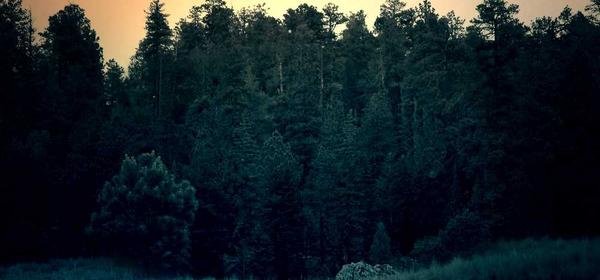 "Nie mam czasu" – jak oszukać wymówki i zacząć działać?