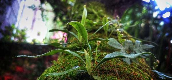 Najlepsze techniki nauki angielskiego dla zapracowanych