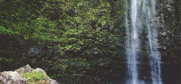 Gdzie szukać ciekawych artykułów po angielsku?