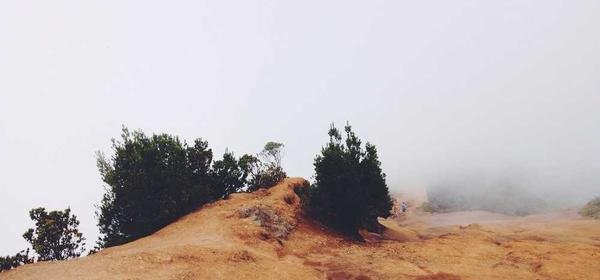 Beginner-Friendly Tips to Build Confidence in English