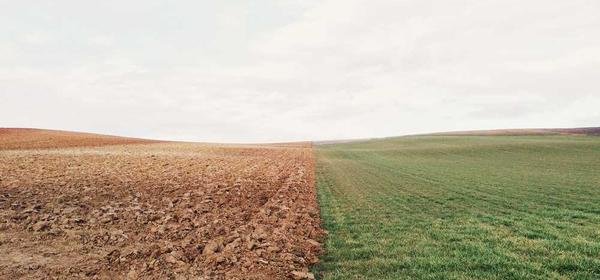 How to Think in English (No Translation Needed!)