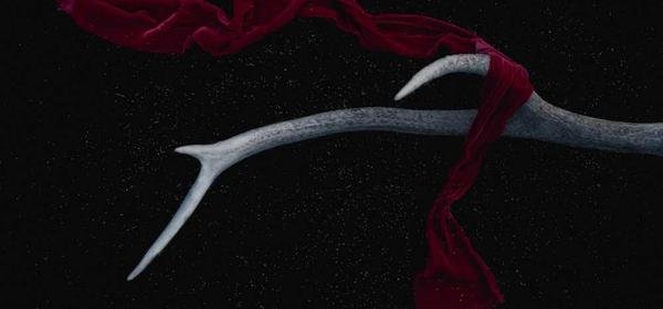 Książki po angielsku dla początkujących – od czego zacząć?